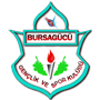 Bursagucu.png