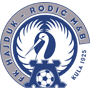 HajdukRodic.png
