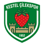 KestelCilekspor.png