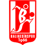 NSGBalikesirspr.png