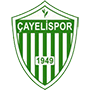 SHCayelispor.png